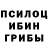 Галлюциногенные грибы Psilocybe redcherrykbr