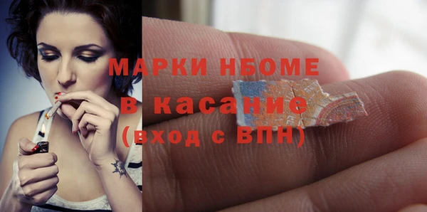 гашик Горняк