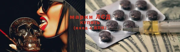 гашик Горняк