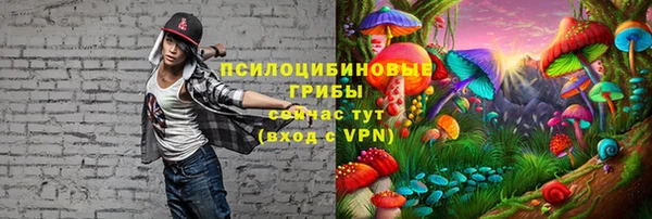 твердый Горнозаводск
