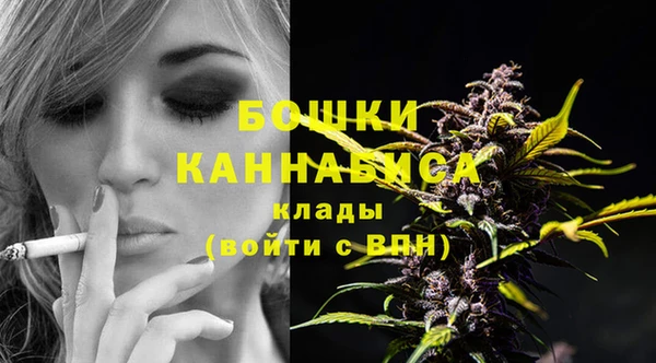 твердый Горнозаводск