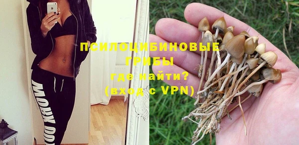 гашик Горняк