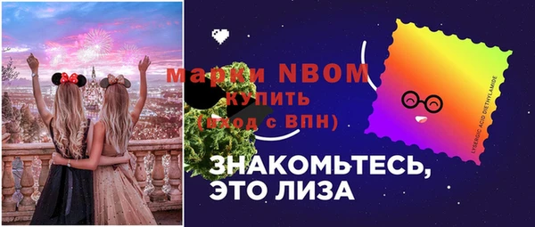 мдпв Горно-Алтайск