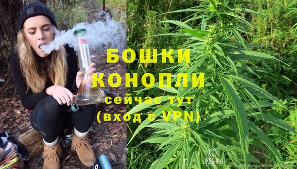 мдпв Горно-Алтайск