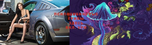твердый Горнозаводск
