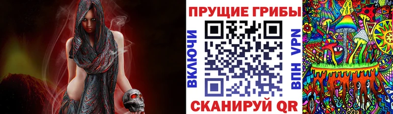 Галлюциногенные грибы Psilocybe  как найти закладки  Егорьевск 