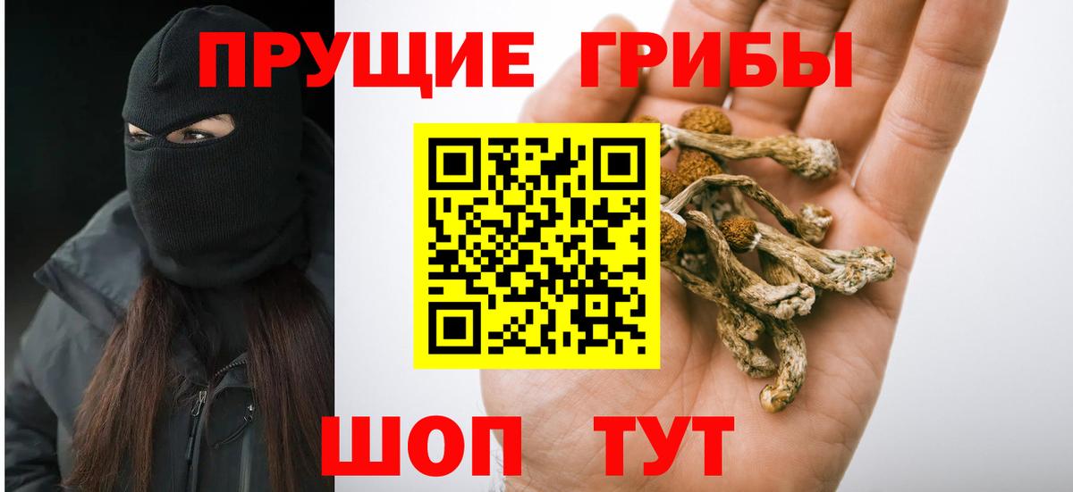 Псилоцибиновые грибы Magic Shrooms  Псилоцибиновые грибы мицелий  Вход с VPN  Егорьевск 