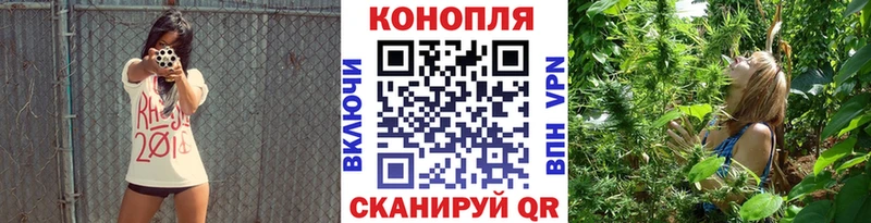 Шишки марихуана ГИДРОПОН  Егорьевск 