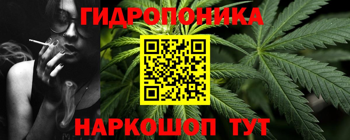 Конопля тримм  Вход с VPN  Егорьевск  Бошки Шишки сатива 